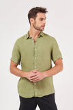 Verde Musgo