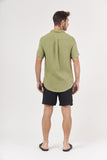 Verde Musgo