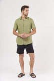 Verde Musgo