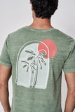 VERDE MUSGO