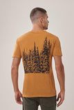 OCRE